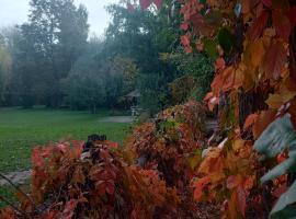 Hotel Boutique Finca don Gregorio，位于圣卡洛斯的酒店