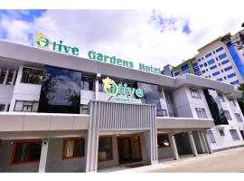 Olive Gardens Hotel Nairobi，位于内罗毕奇利马尼区的酒店