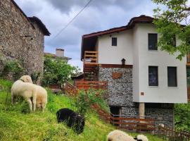 GUEST HOUSE ELENA，位于Kosovo奇妙桥附近的酒店