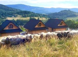 Chaty pod Pilskiem - sauna i jacuzzi w cenie - Krzyżówki - Korbielów，位于科尔别卢夫的酒店