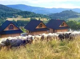 Chaty pod Pilskiem - sauna i jacuzzi w cenie - Krzyżówki - Korbielów