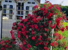 Sofial Guesthouse