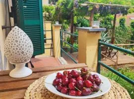 Garden view home in Florence