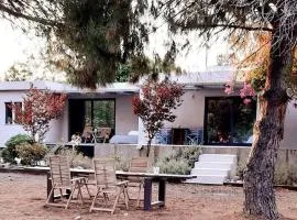 Coralia's beachfront sea view studio