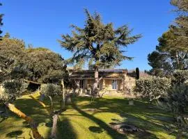 L'Atelier de la Baronnie - Lubéron