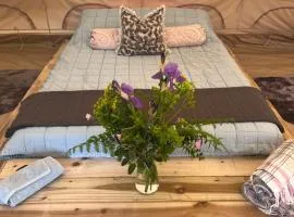 Bluebell Tent at Ballyward Croft