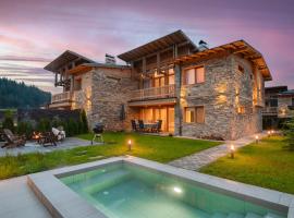 Luxury Villa with Hot Pool，位于巴尼亚的木屋