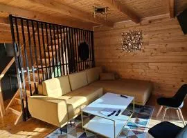 NEO resort Hill jezero Bruje