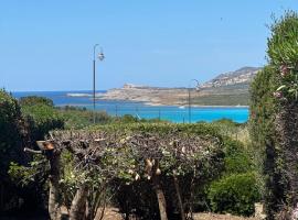 Stintino vista mare l'ancora，位于斯廷蒂诺的酒店