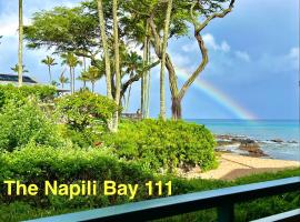 The Napili Bay 111 - Ocean View Studio - Steps from Napili Beach，位于卡普鲁亚的公寓