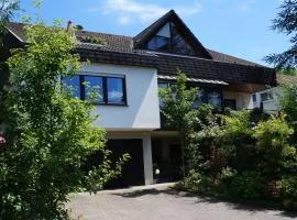 Ferienwohnung Bannstein Lahr