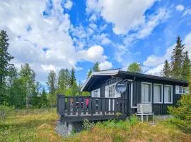 Beautiful Home In Gol With Kitchen