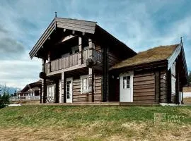 Newer lovely cabin in Birkebeinerbakken Sjusjøen