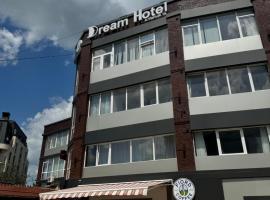 DreamHotel，位于基希讷乌的酒店