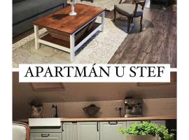 Apartmán u Stef，位于Borotice的酒店