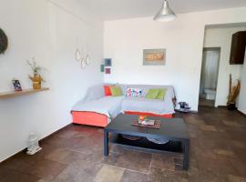 Portolos Apartments - Sarakiniko，位于瓦西的酒店