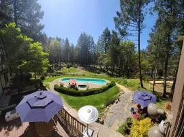 Luxury Napa Vineyard Estate 15 min from St. Helena