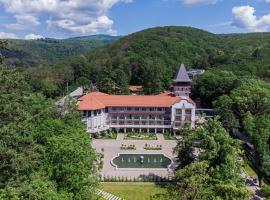 Verkhovyna Resort Medical & Wellness，位于Kamenitsa的酒店