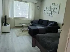 Yksiö omalla puusaunalla