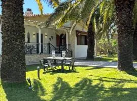 Palm Luxury Villa In Kallithea