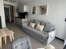 Apart Park Albus 414，位于斯维诺乌伊希切的带泳池的酒店