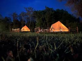 Deleni Retreat - Glamping，位于Buzău的豪华帐篷