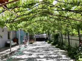 borjomi wood edge，位于博尔若米的酒店