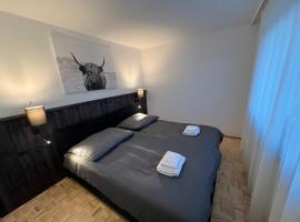 rs44 Apartments über den Dächern von Bregenz，位于布雷根茨的酒店