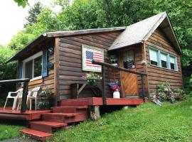 Homestead cabin，位于荷马的酒店