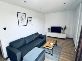 Apartament Daszyńskiego，位于萨诺克的酒店