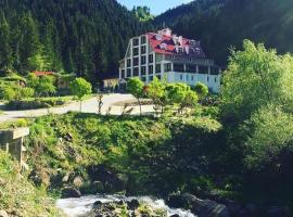 Hotel Green Valley Savsat，位于Savsat的酒店