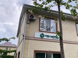 TES Hotel，位于奥什的带停车场的酒店