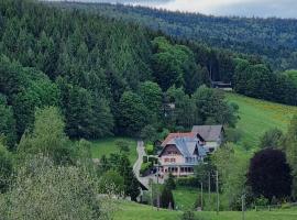 Auberge La Tête En L'Air，位于勒奥瓦尔德的酒店