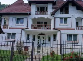 PENSIUNEA ANA Transalpina