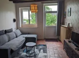 Gîte charmant proche des Châteaux de la Loire avec jardin privatif et parking. - FR-1-410-426