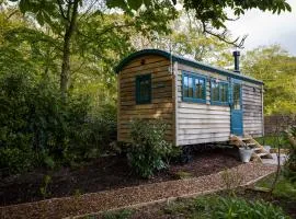 Oak Tree Shepherds Hut Chatsworth Estate