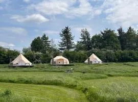 Walltree House Glamping - Cozy Glamping experience