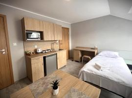 Apartamenty Wilczyńskiego，位于奥尔什丁的酒店