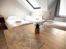 Apartamenty Wilczyńskiego，位于奥尔什丁的酒店
