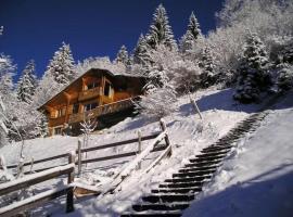 La Rissole - Chalet familial，位于沙泰勒的酒店