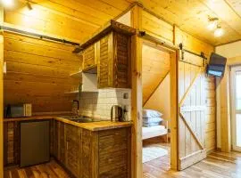 Apartament z widokiem na Jezioro Solińskie - Zawóz