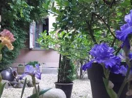 Le Despeyrous gite en ville