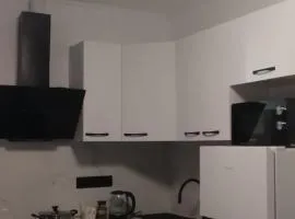 Квартира- студия