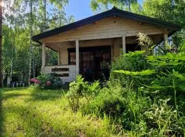 Sosnowa Odnowa - domek na Mazurach z sauną i balią