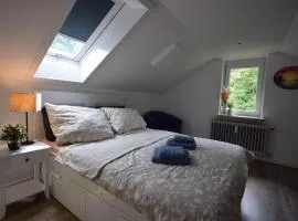 Bimax Neu renovierte, gemütl. 4 Zimmer Dachwohnung