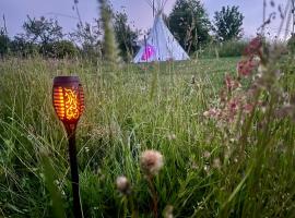 Romantic Wildlife Tipi Teepee Tomnatic Bihor Romania Apuseni，位于Tomnatic的家庭/亲子酒店