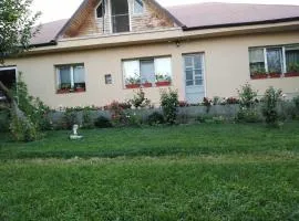 Casa de inchiriat in Limanu