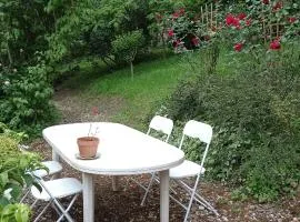 Appart' bucolique en plein centre ville