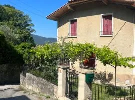 Maison La vieille vigne