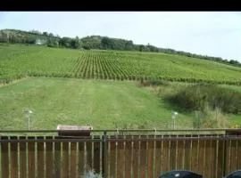 Maison au milieu des vignes